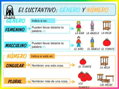 Genere e numero in spagnolo