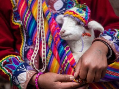 Diferencias entre el español de América Latina y el de España