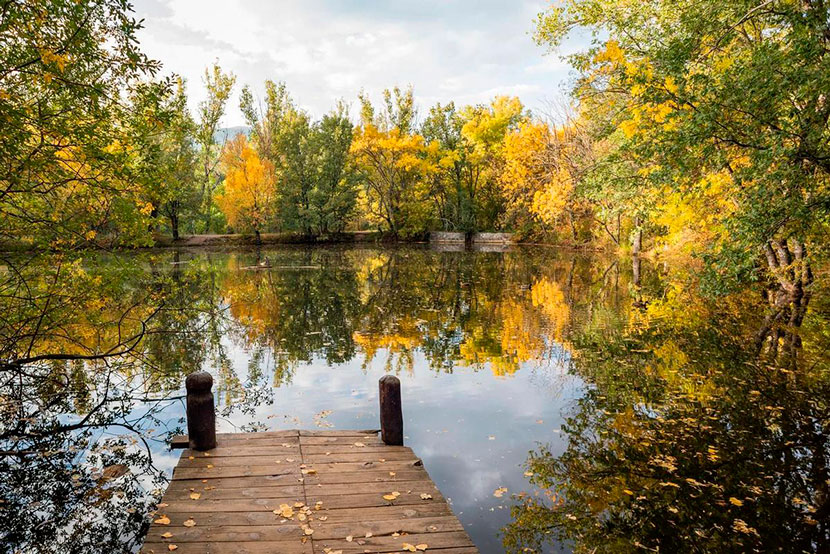 Rascafría and the Finnish Forest