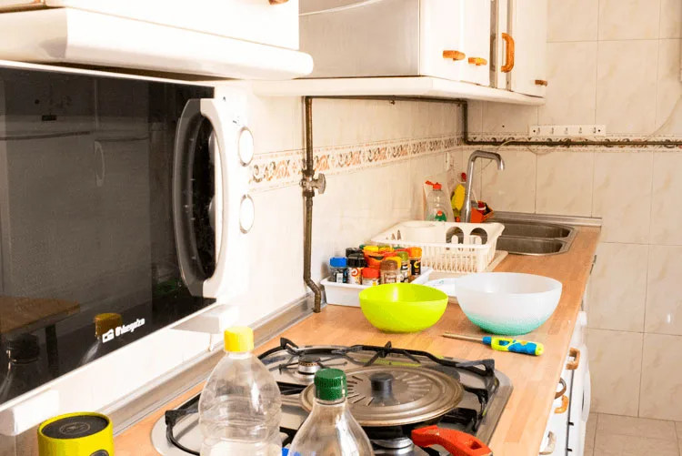 Programas de inmersión en español en familias de acogida en Madrid