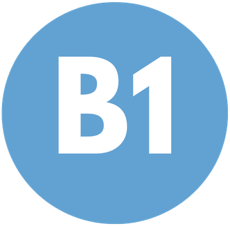 B1 Spanish Course: Advanced language usage